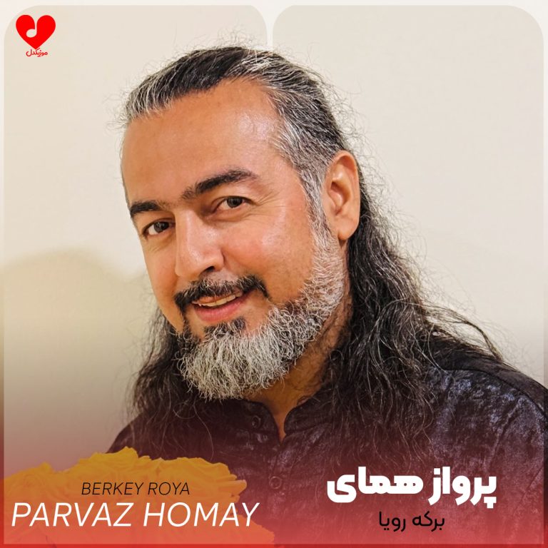 دانلود آهنگ دیر فهمیدم که جای شاه ماهی برکه نیست (برکه رویا پرواز همای)